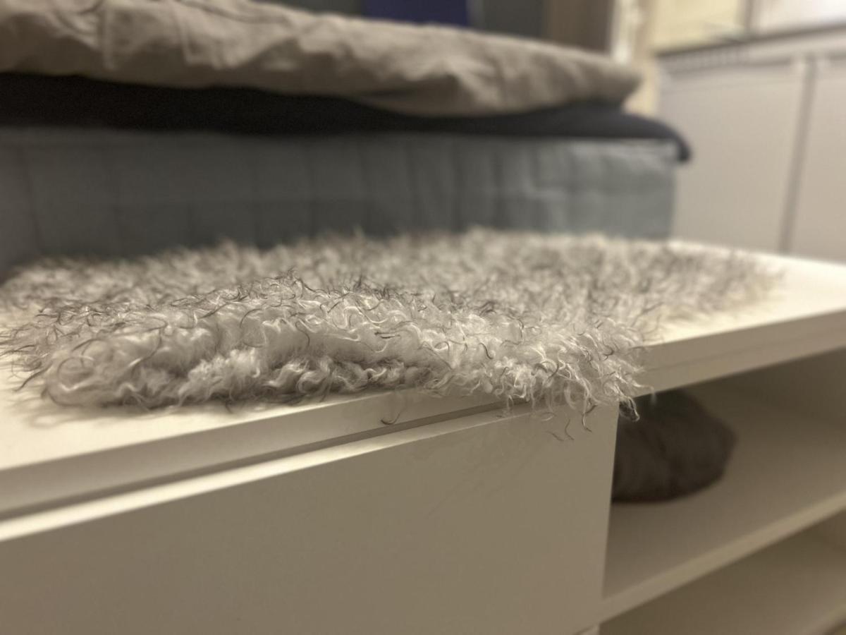 New Studio Apartment In Tromso - Aurora Hotspot Bagian luar foto